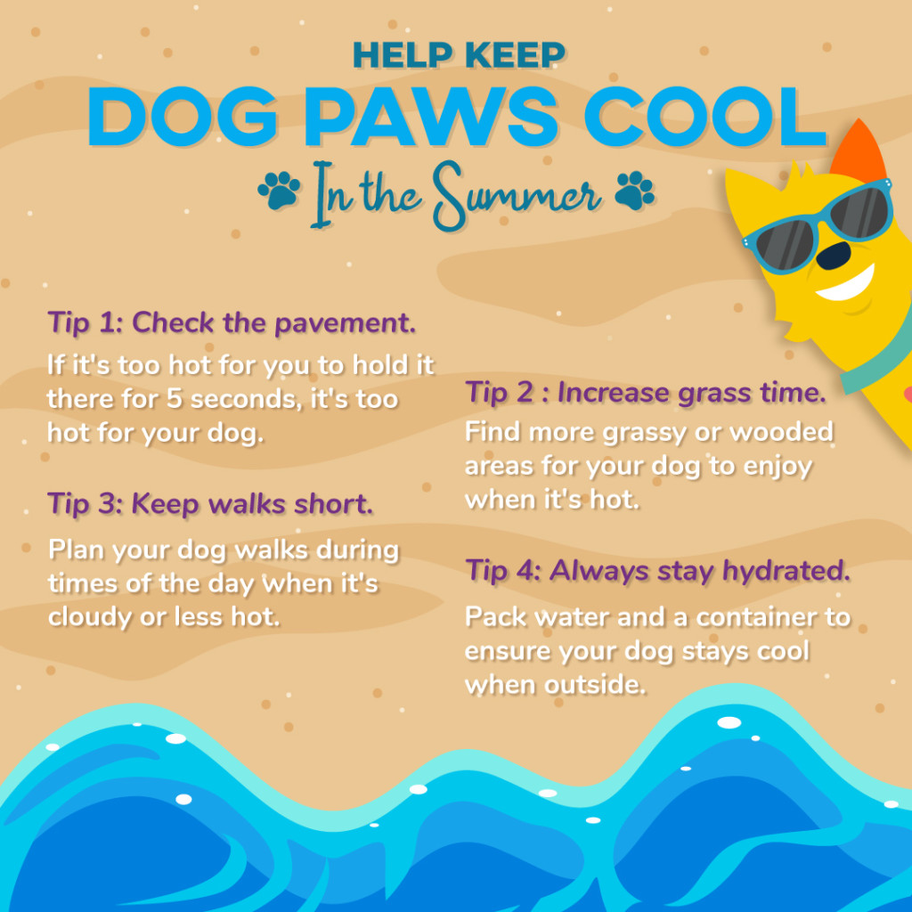 Dog-Paws-Summer2