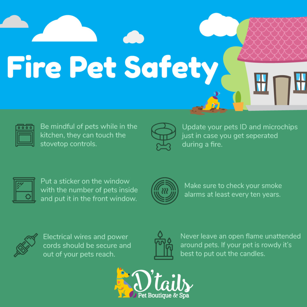Fire-Safety-Google-post