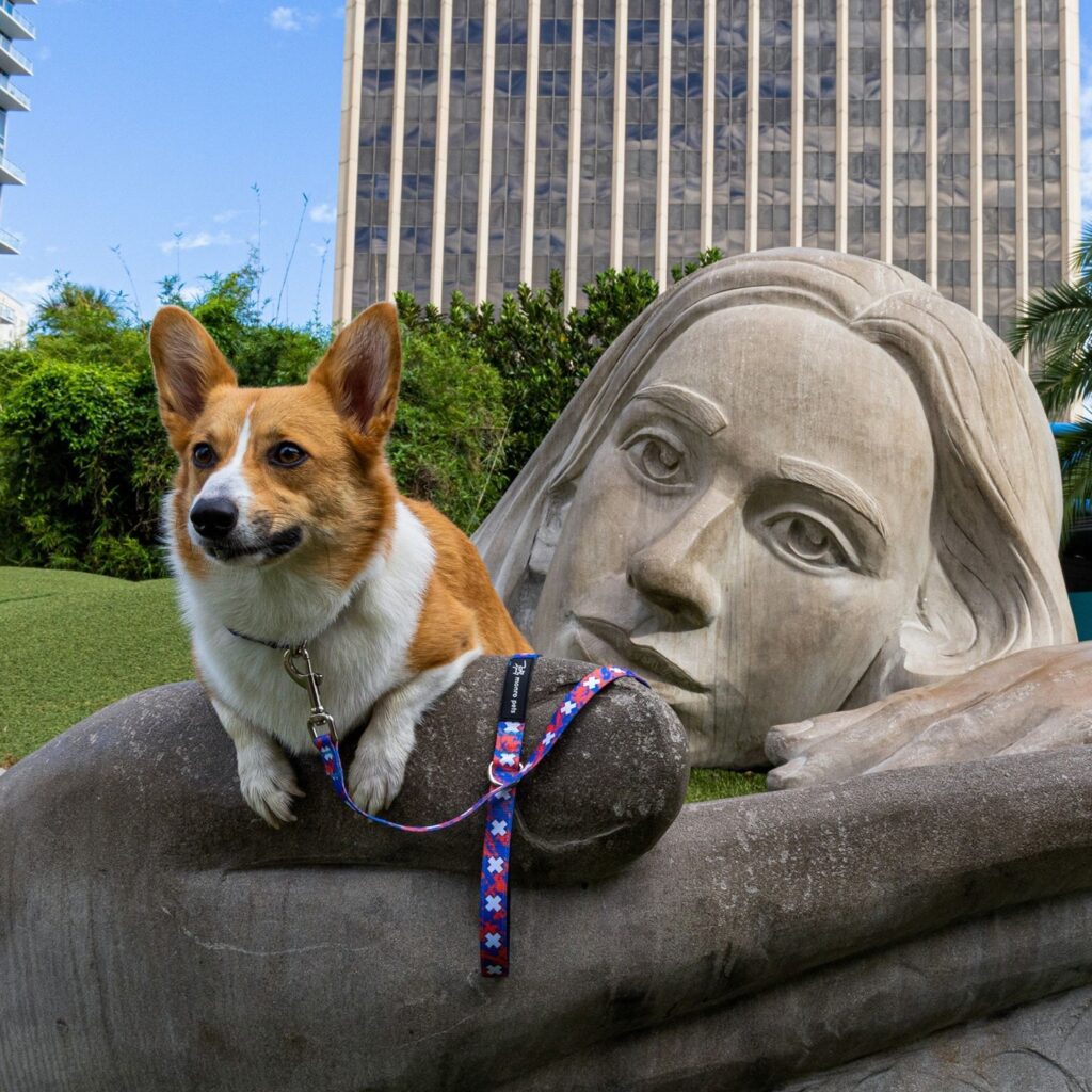 170547792_300167298169237_298816134274048455_n