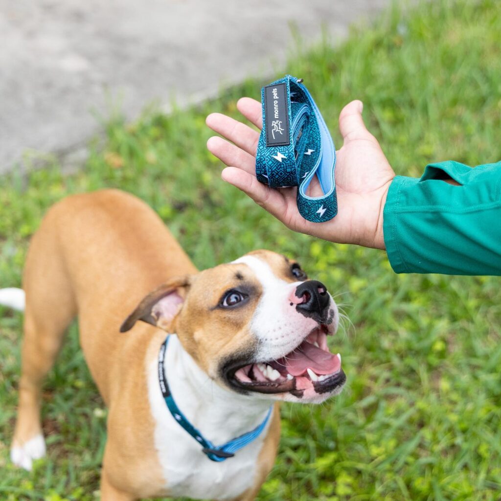 184351279_486641299217953_5533627185463368114_n