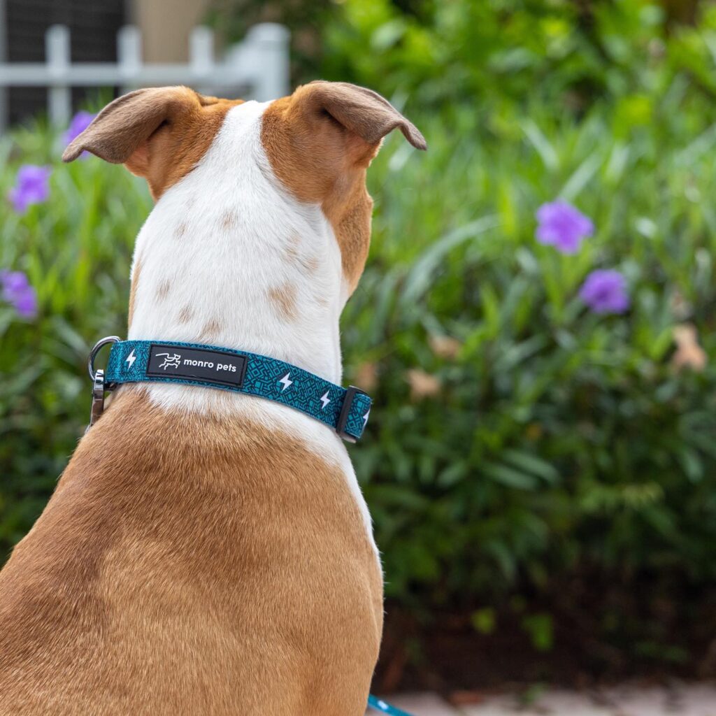 185545525_468060431126088_4230404918338065982_n