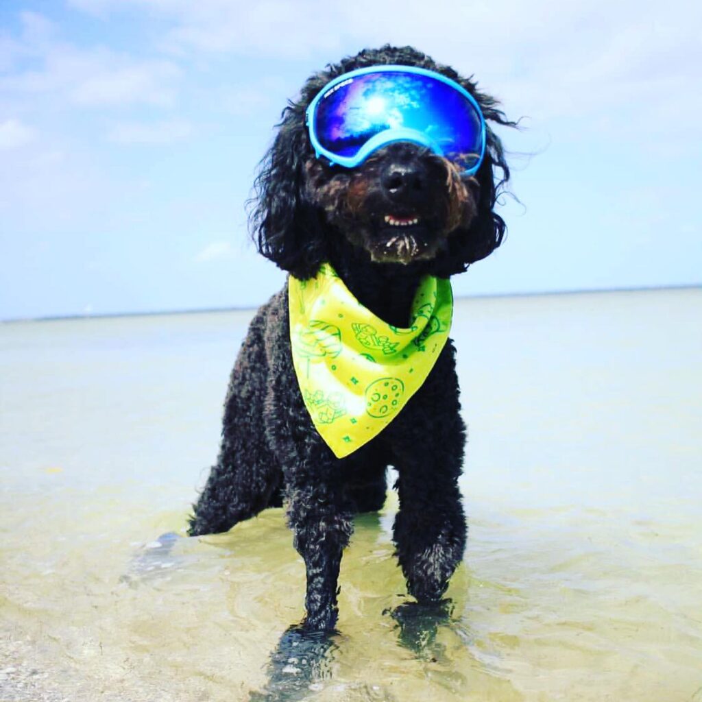 196011987_113444780839783_5829344103604099189_n