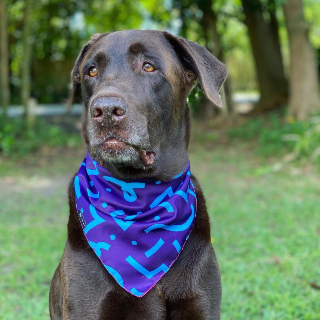 240230931_1025106044910715_7935172568266843071_n