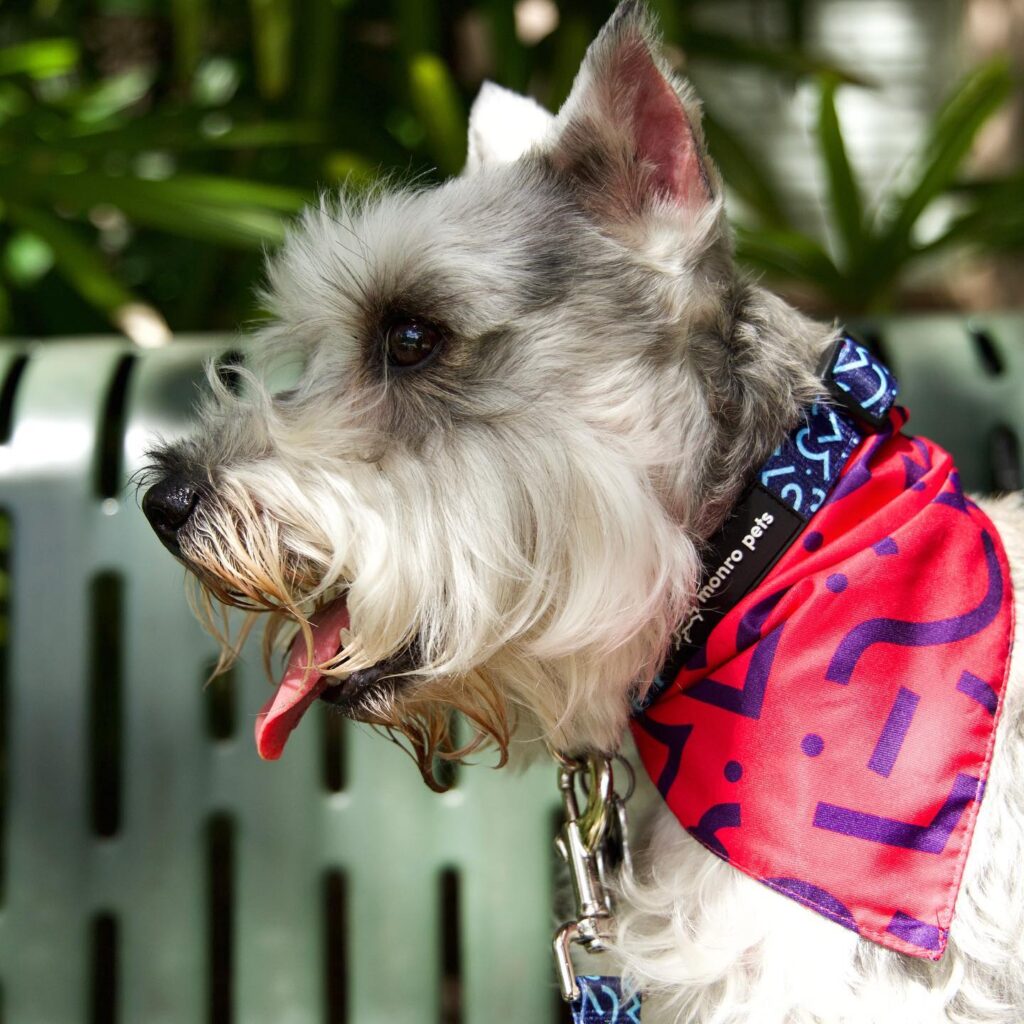 250252331_493133721657827_6310784643633077242_n