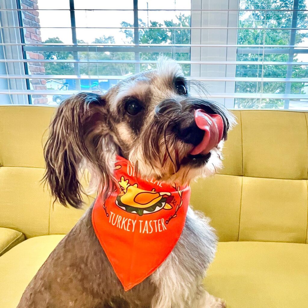 257433869_653245839172975_5298904333253028193_n