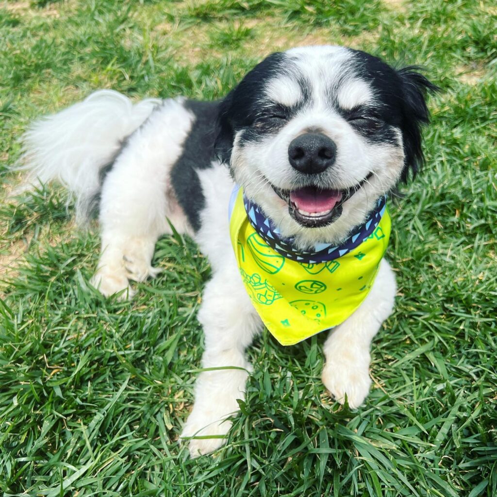 301000344_759972618663623_2400656699916728538_n